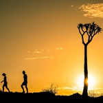 Sunset and Quiver Tree